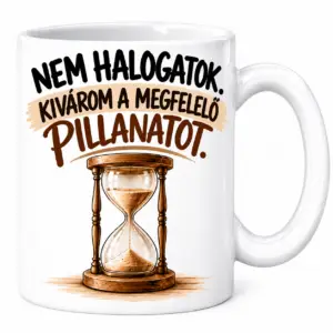 Bögre - Nem halogatok...
