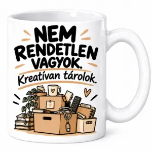 Bögre - Nem vagyok rendetlen...